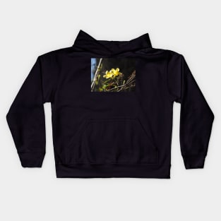 Yellow jessamine wildflowers, nature, gifts Kids Hoodie